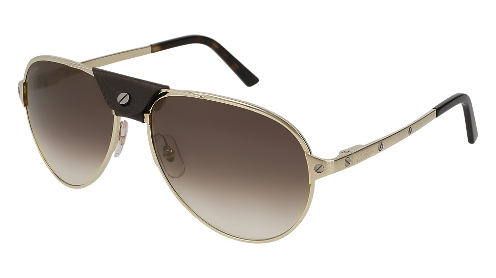 Santos de Cartier CT0034S-012 ESW00316 Occhiali da sole da uomo - Walter  Attimonelli