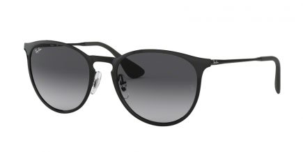 Ray-Ban Erika Metal RB 3539