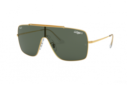 Ray-Ban RB3697