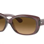 6593M2 TRANSPARENT DARK BROWN