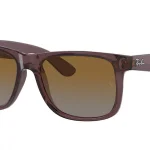 6597T5 TRANSPARENT DARK BROWN