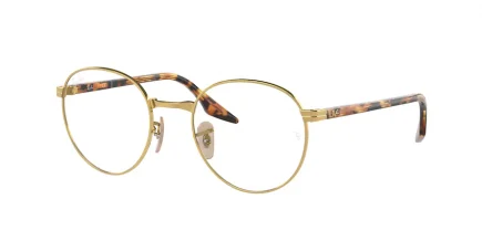 Ray-Ban RX3691V