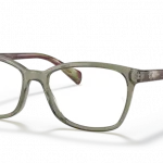 8178 - Verde trasparente