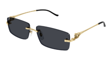 Cartier CT0430S
