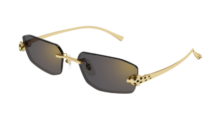 Cartier CT0474S