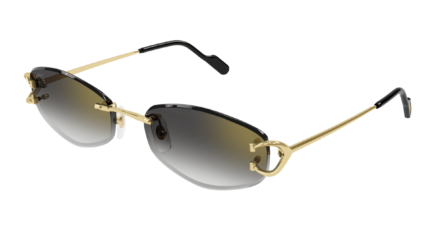 Cartier CT0467S