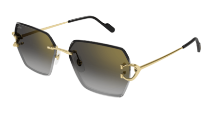 Cartier CT0466S