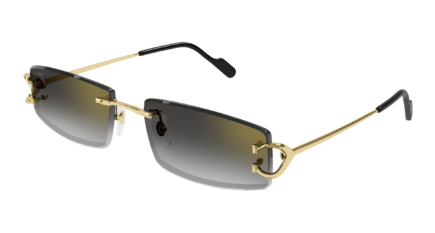 Cartier CT0465S