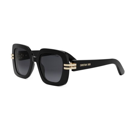 DIOR CDIOR S2I