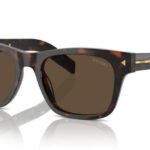 17N70F Radica Tortoise