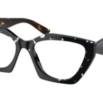 15S1O1 Black Crystal Tortoise