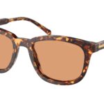 14O07V Magma Tortoise