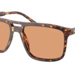 14O07V Magma Tortoise