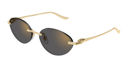 Cartier CT0504S