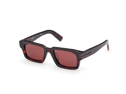 ZEGNA EZ0255