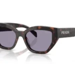 17N03N Root tartarugato