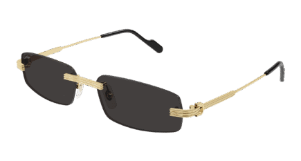 Cartier CT0535S