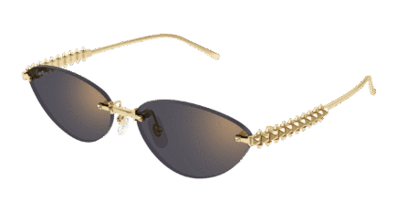 Cartier CT0543S