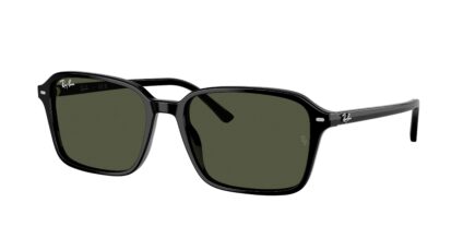 Ray-Ban RB2231 - Raimond