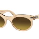 138685 Fotocromatiche marroni a onde