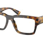 VAU1O1 Miele tartarugato