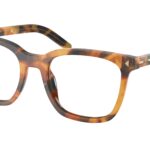 29C1O1 Tortoise Cannella