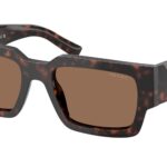 17N06B Root tartarugato