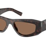 17N06B Root tartarugato