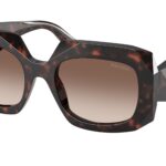 17N10S Root tartarugato