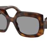 20D50Q Juniper tartarugato