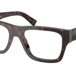 17N1O1 Root tartarugato