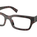 17N1O1 Root tartarugato