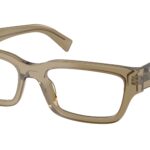 22H1O1 Transparent Bark