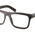 17N1O1 Root tartarugato