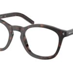 17N1O1 Root tartarugato