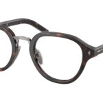 17N1O1 Root tartarugato