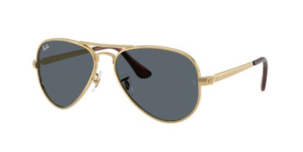 Ray-Ban RB3925 - Aviator max
