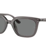 667587 Grigio Trasparente