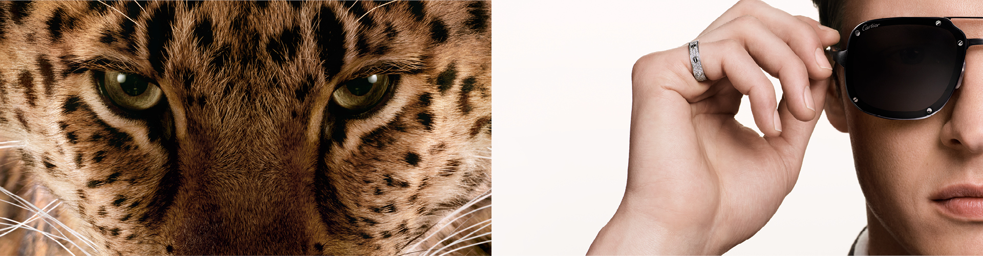 Cartier Collection