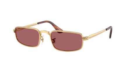Ray-Ban RB3927