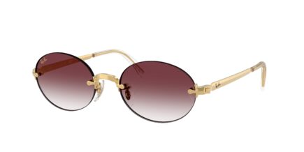 Ray-Ban RB3929
