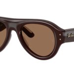 689673 Marrone scuro trasparente