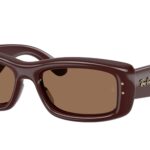 687773 Marrone scuro trasparente