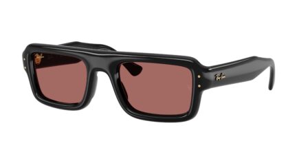 Ray-Ban RB4954