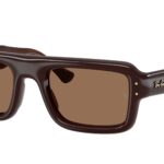 689673 Marrone scuro trasparente
